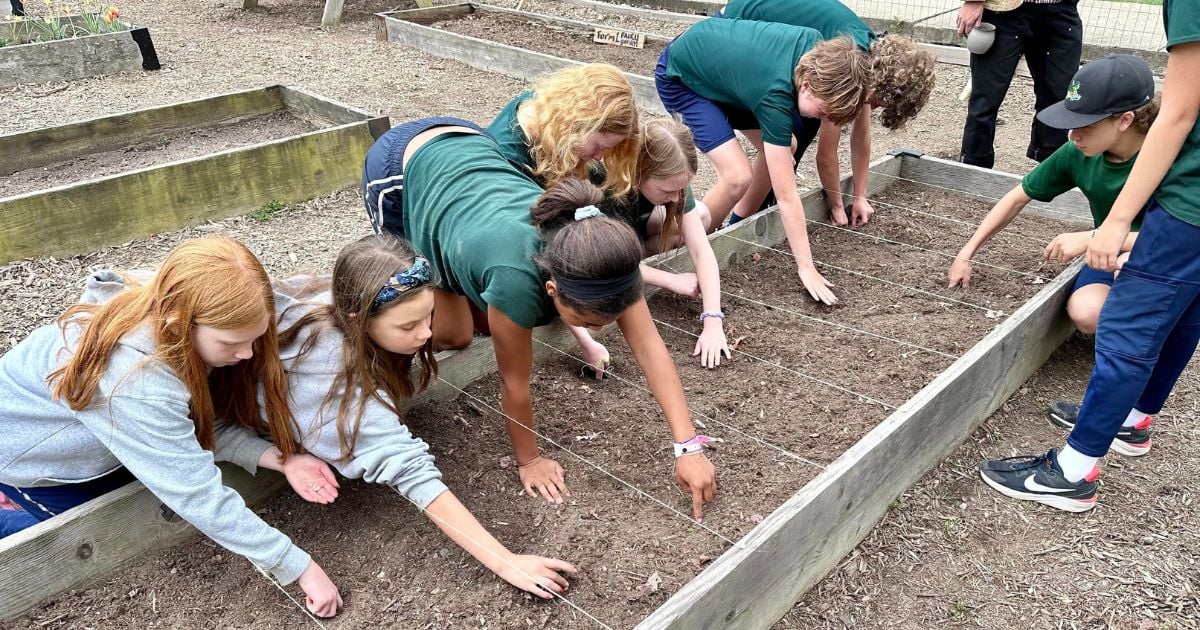 students planting seeds